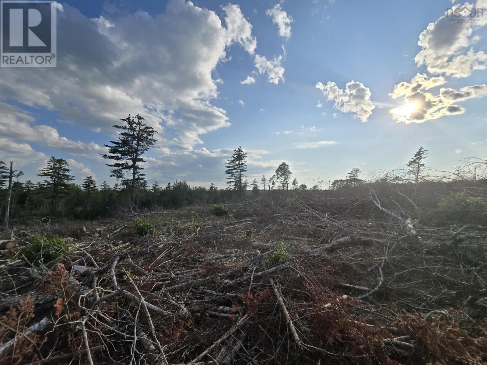 Lot 1 Stark Road, Newport Station, Nova Scotia  B0N 2T0 - Photo 12 - 202618661