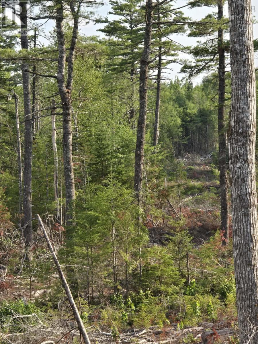 Lot 1 Stark Road, Newport Station, Nova Scotia  B0N 2T0 - Photo 17 - 202618661