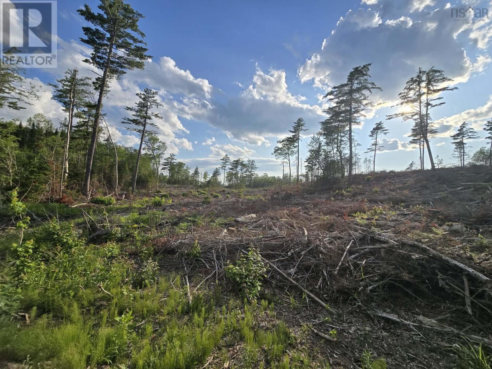 Lot 1 Stark Road, Newport Station, Nova Scotia  B0N 2T0 - Photo 21 - 202618661