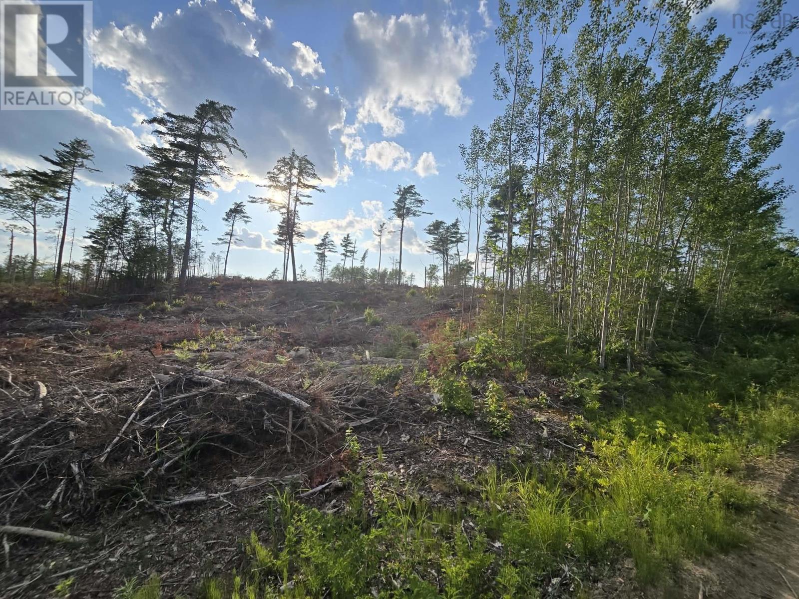 Lot 1 Stark Road, Newport Station, Nova Scotia  B0N 2T0 - Photo 22 - 202618661