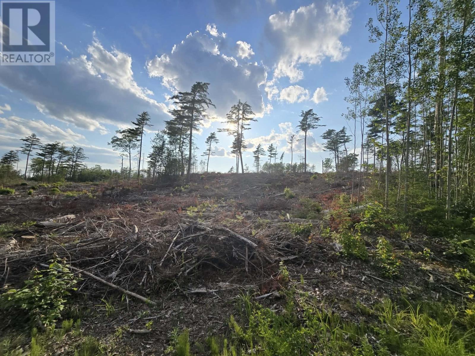 Lot 1 Stark Road, Newport Station, Nova Scotia  B0N 2T0 - Photo 23 - 202618661