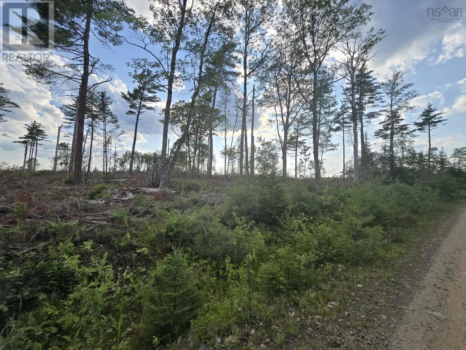Lot 1 Stark Road, Newport Station, Nova Scotia  B0N 2T0 - Photo 25 - 202618661