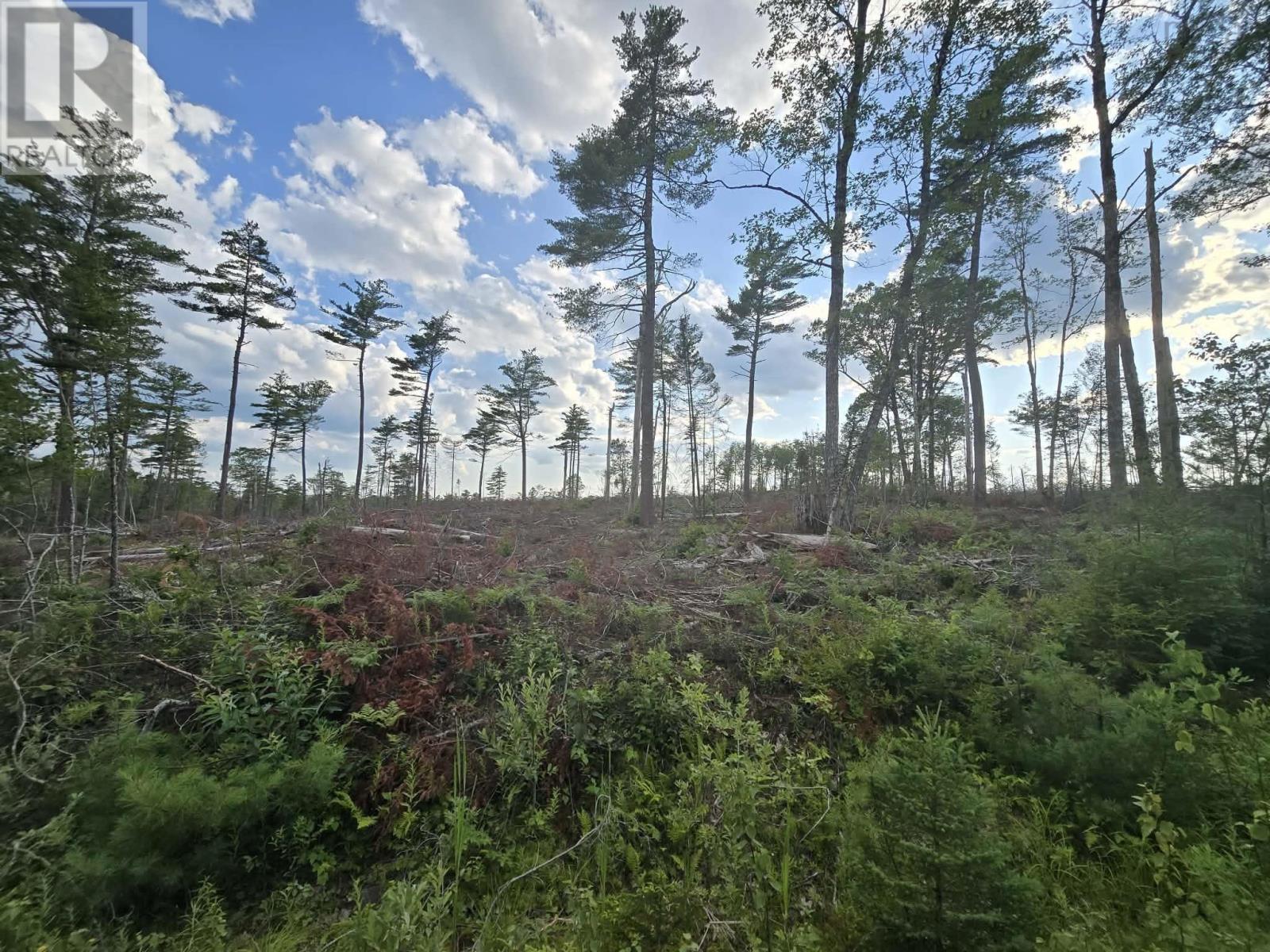 Lot 1 Stark Road, Newport Station, Nova Scotia  B0N 2T0 - Photo 26 - 202618661