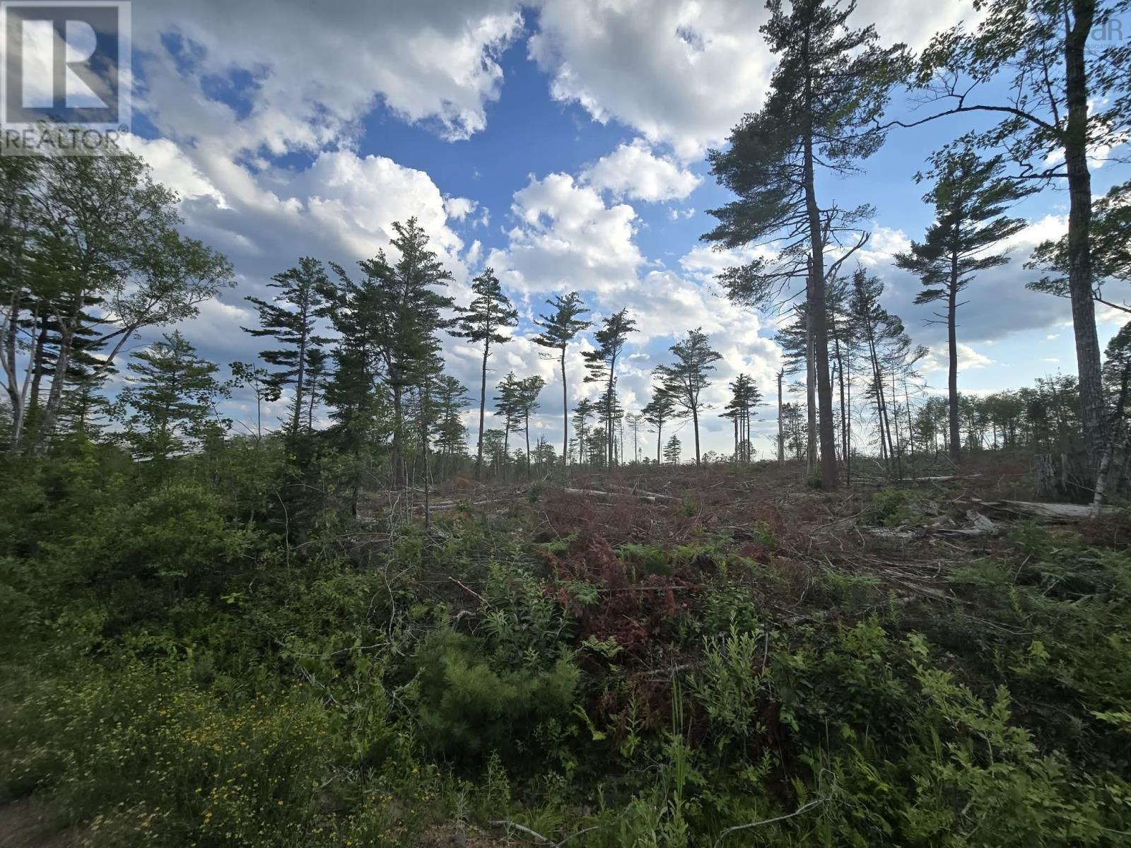 Lot 1 Stark Road, Newport Station, Nova Scotia  B0N 2T0 - Photo 27 - 202618661