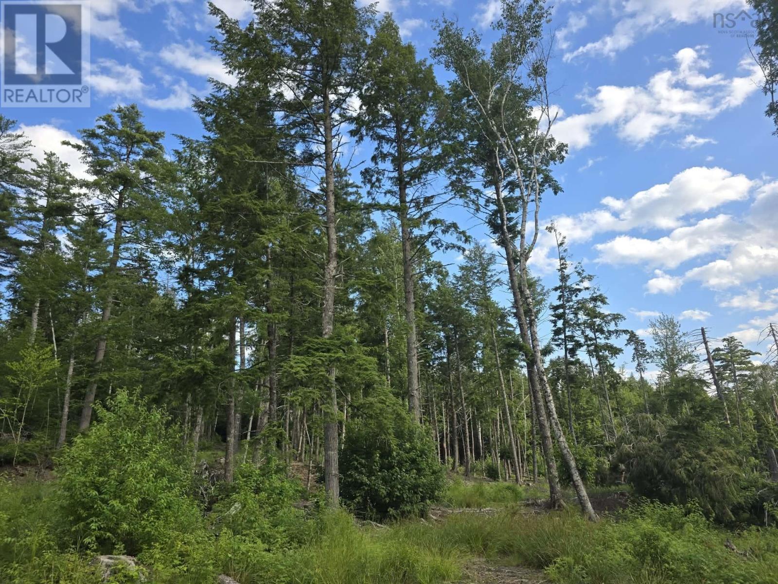 Lot 1 Stark Road, Newport Station, Nova Scotia  B0N 2T0 - Photo 28 - 202618661