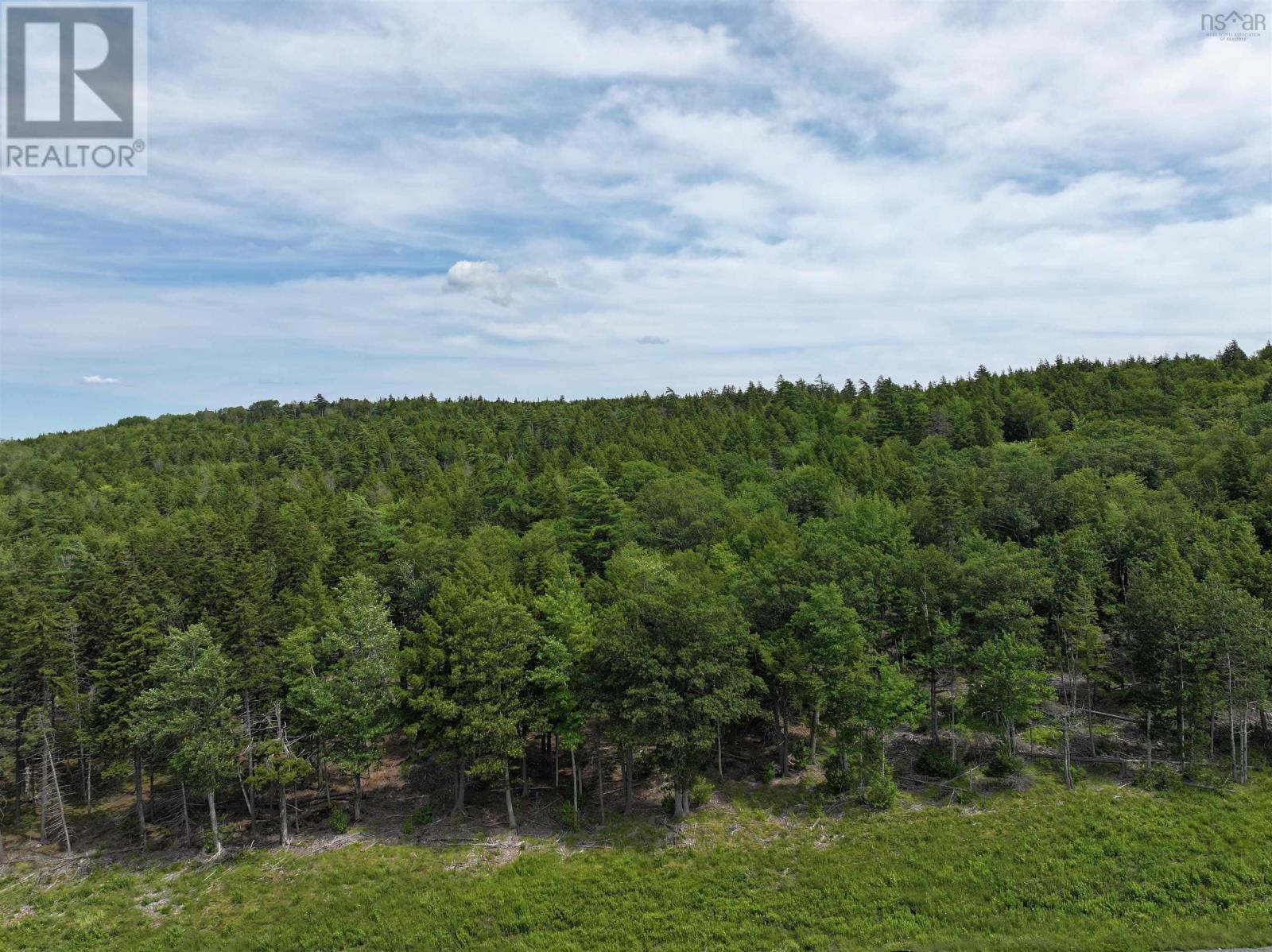 Lot 1 Highway 101, Newport Corner, Nova Scotia  B0N 2T0 - Photo 14 - 202618662