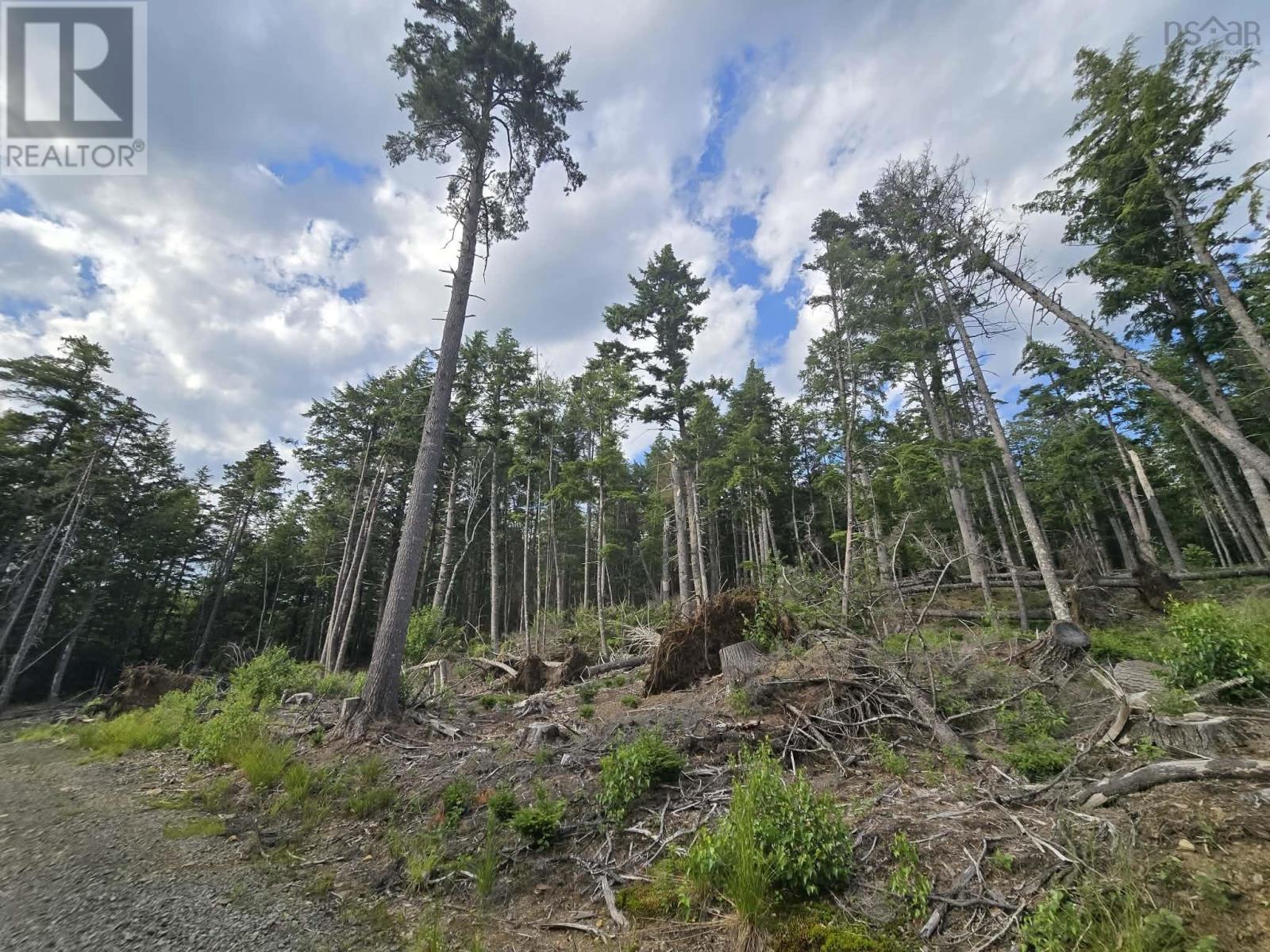 Lot 1 Highway 101, Newport Corner, Nova Scotia  B0N 2T0 - Photo 20 - 202618662
