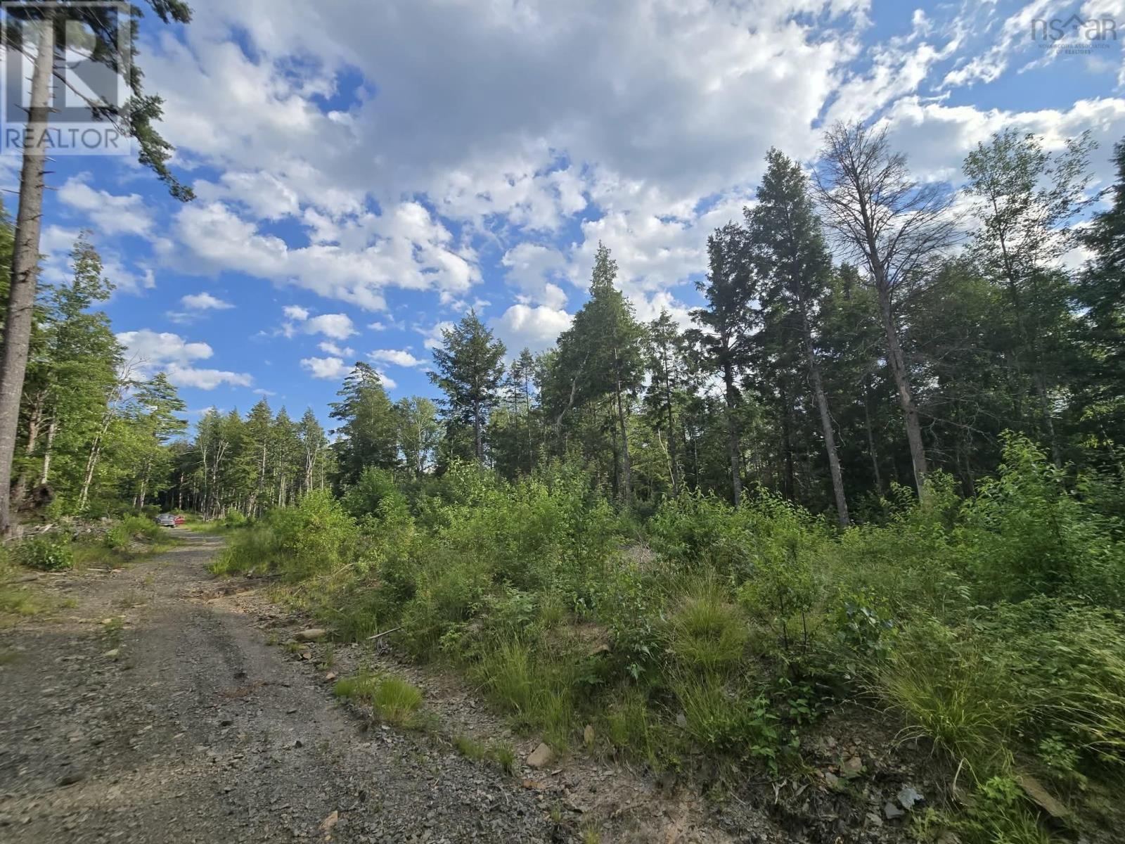 Lot 1 Highway 101, Newport Corner, Nova Scotia  B0N 2T0 - Photo 24 - 202618662