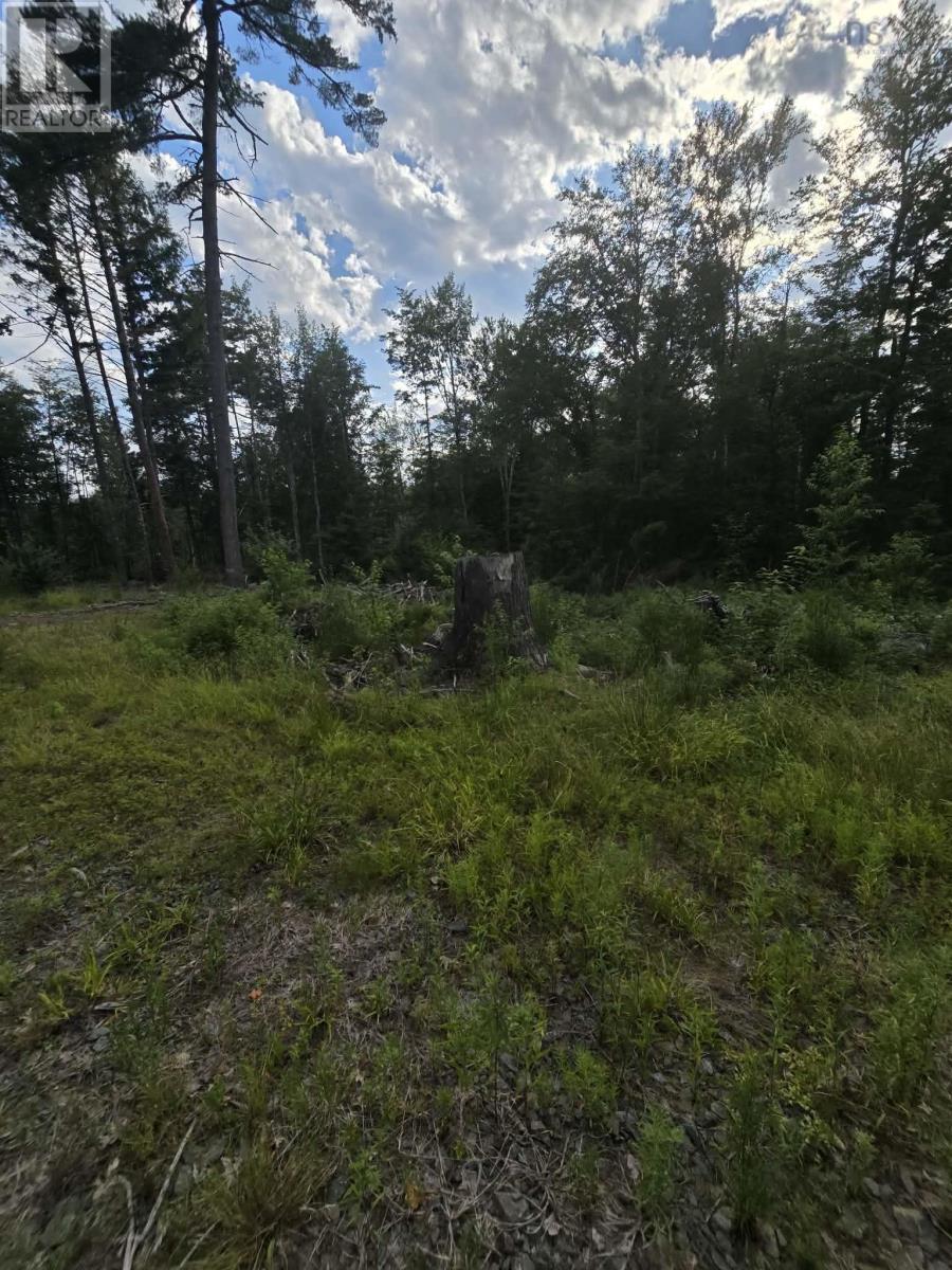 Lot 1 Highway 101, Newport Corner, Nova Scotia  B0N 2T0 - Photo 25 - 202618662