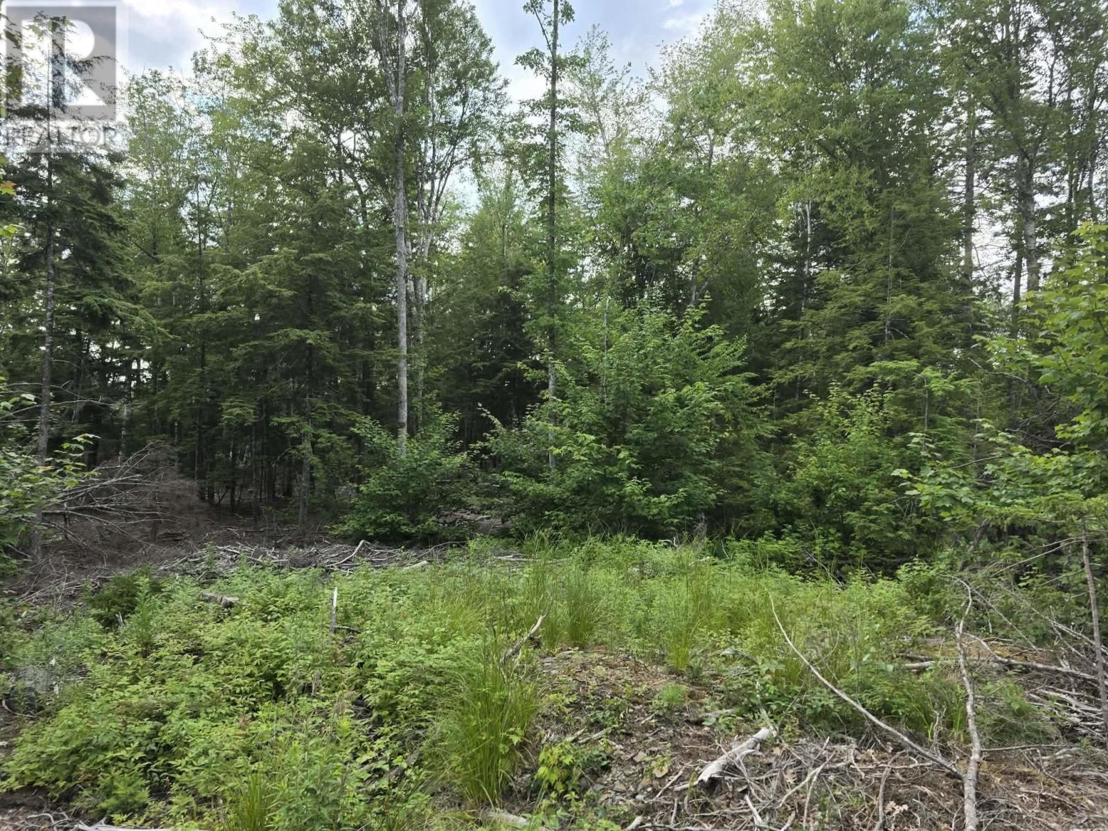 Lot 1 Highway 101, Newport Corner, Nova Scotia  B0N 2T0 - Photo 29 - 202618662
