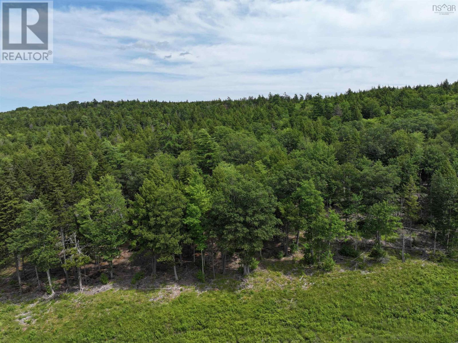 Lot 1 Highway 101, Newport Corner, Nova Scotia  B0N 2T0 - Photo 3 - 202618662
