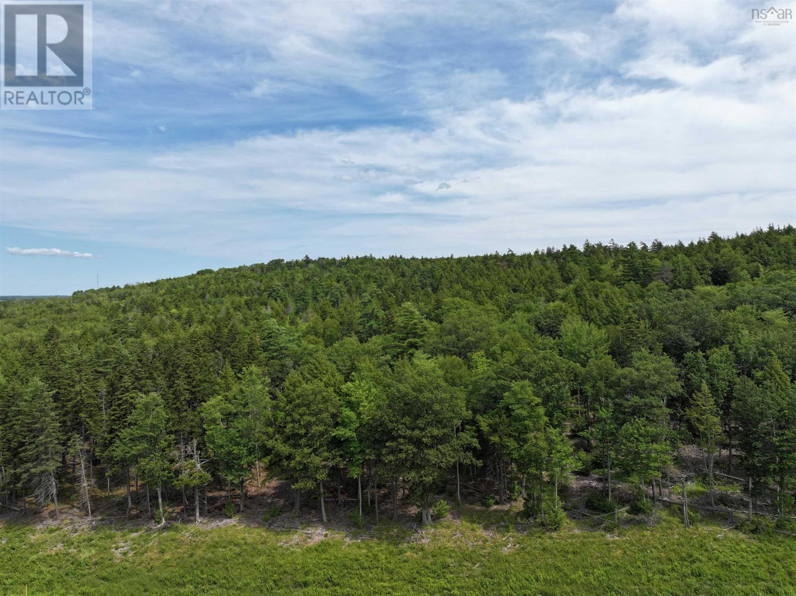 Lot 1 Highway 101, Newport Corner, Nova Scotia  B0N 2T0 - Photo 6 - 202618662