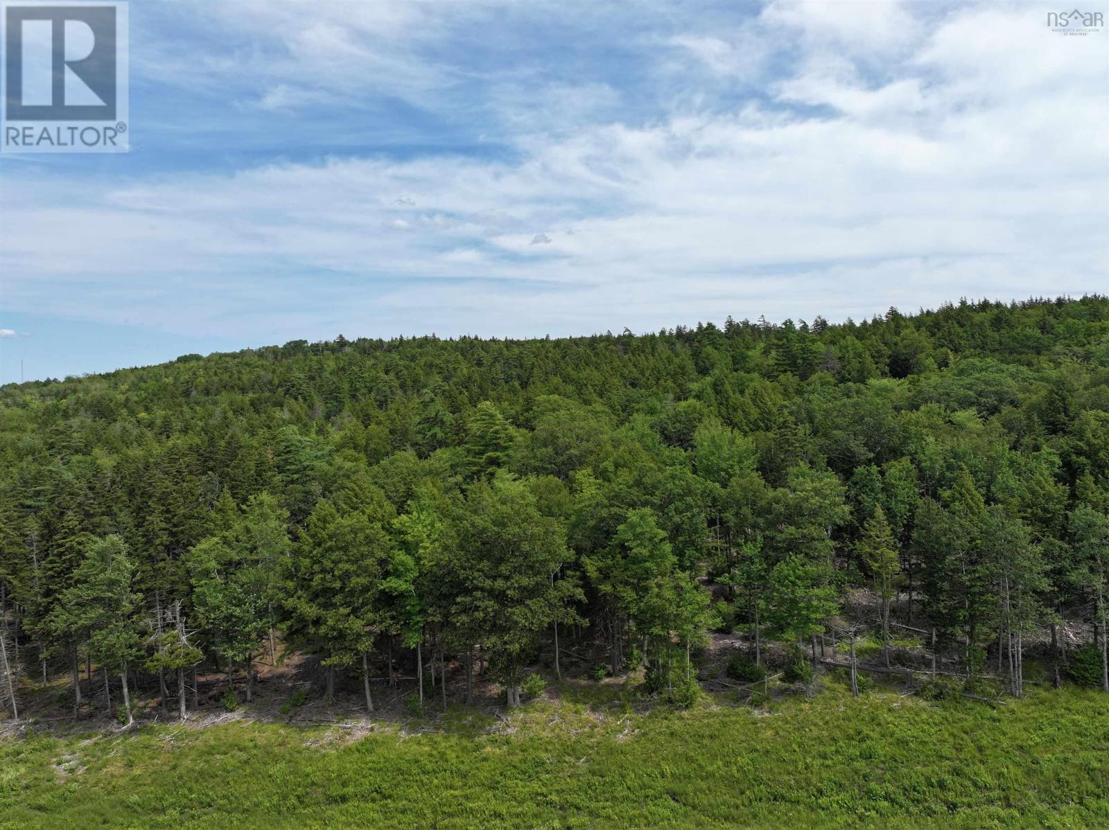 Lot 1 Highway 101, Newport Corner, Nova Scotia  B0N 2T0 - Photo 7 - 202618662