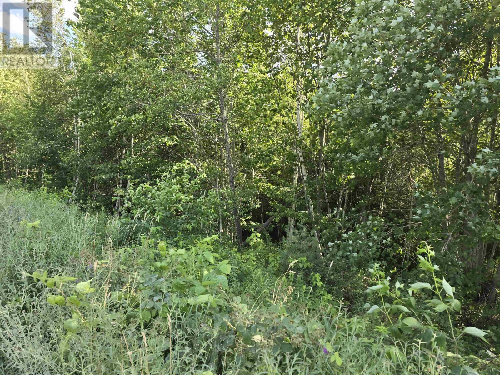 Lot 2 Highway 101, Newcomb Corner, Nova Scotia  B0N 2T0 - Photo 12 - 202618663