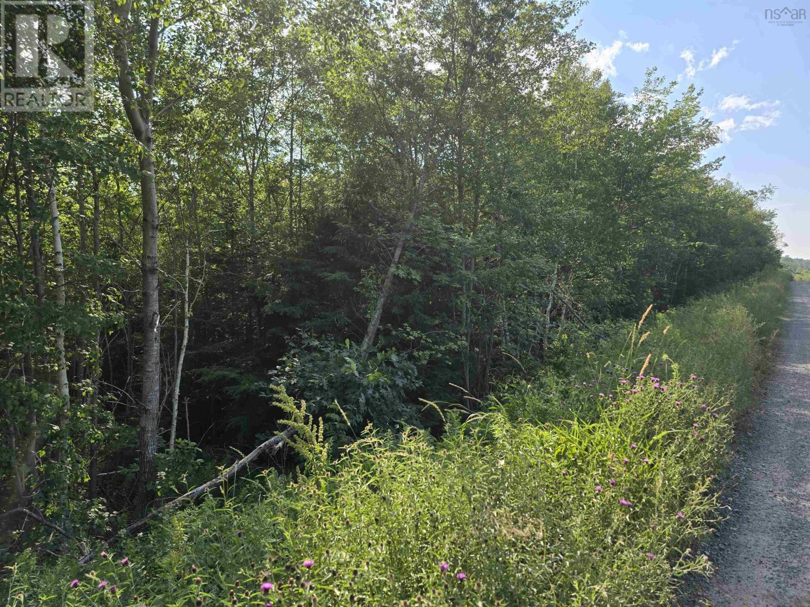 Lot 2 Highway 101, Newcomb Corner, Nova Scotia  B0N 2T0 - Photo 13 - 202618663