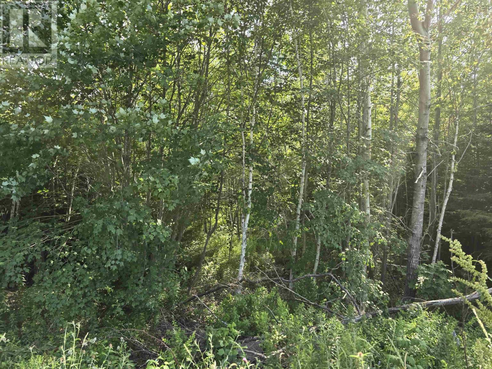 Lot 2 Highway 101, Newcomb Corner, Nova Scotia  B0N 2T0 - Photo 14 - 202618663