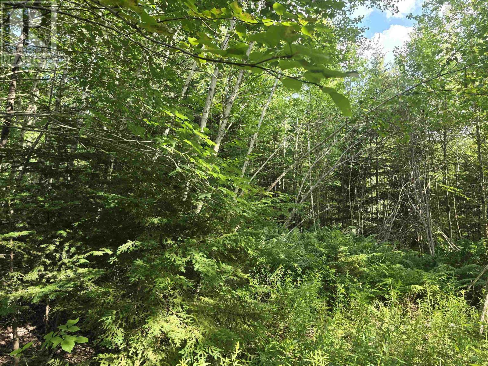 Lot 2 Highway 101, Newcomb Corner, Nova Scotia  B0N 2T0 - Photo 15 - 202618663