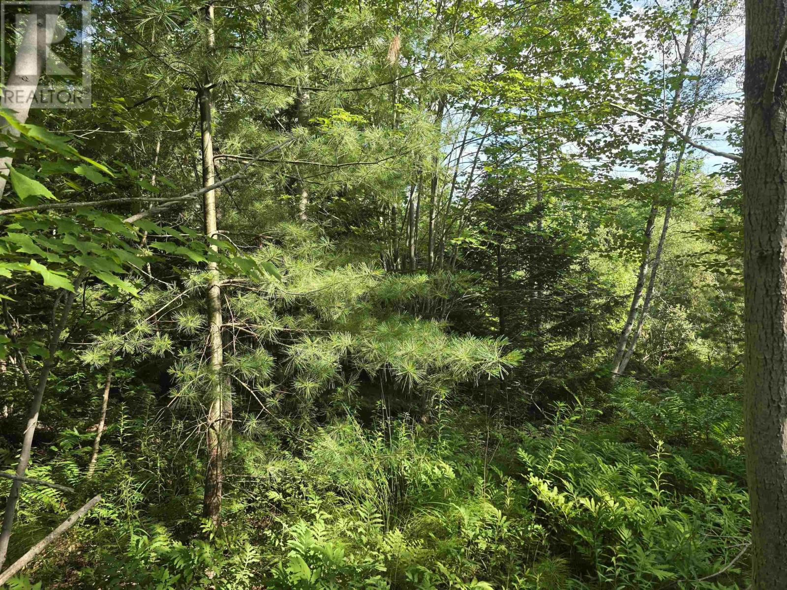 Lot 2 Highway 101, Newcomb Corner, Nova Scotia  B0N 2T0 - Photo 17 - 202618663