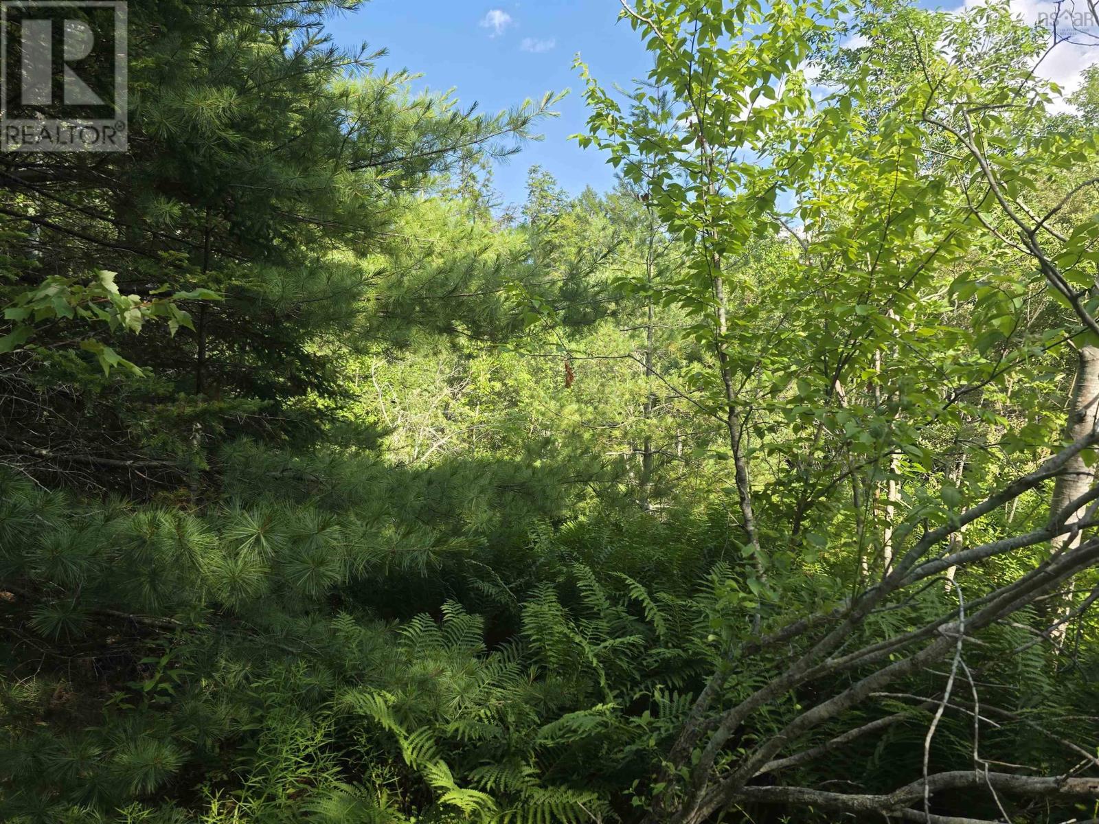 Lot 2 Highway 101, Newcomb Corner, Nova Scotia  B0N 2T0 - Photo 19 - 202618663