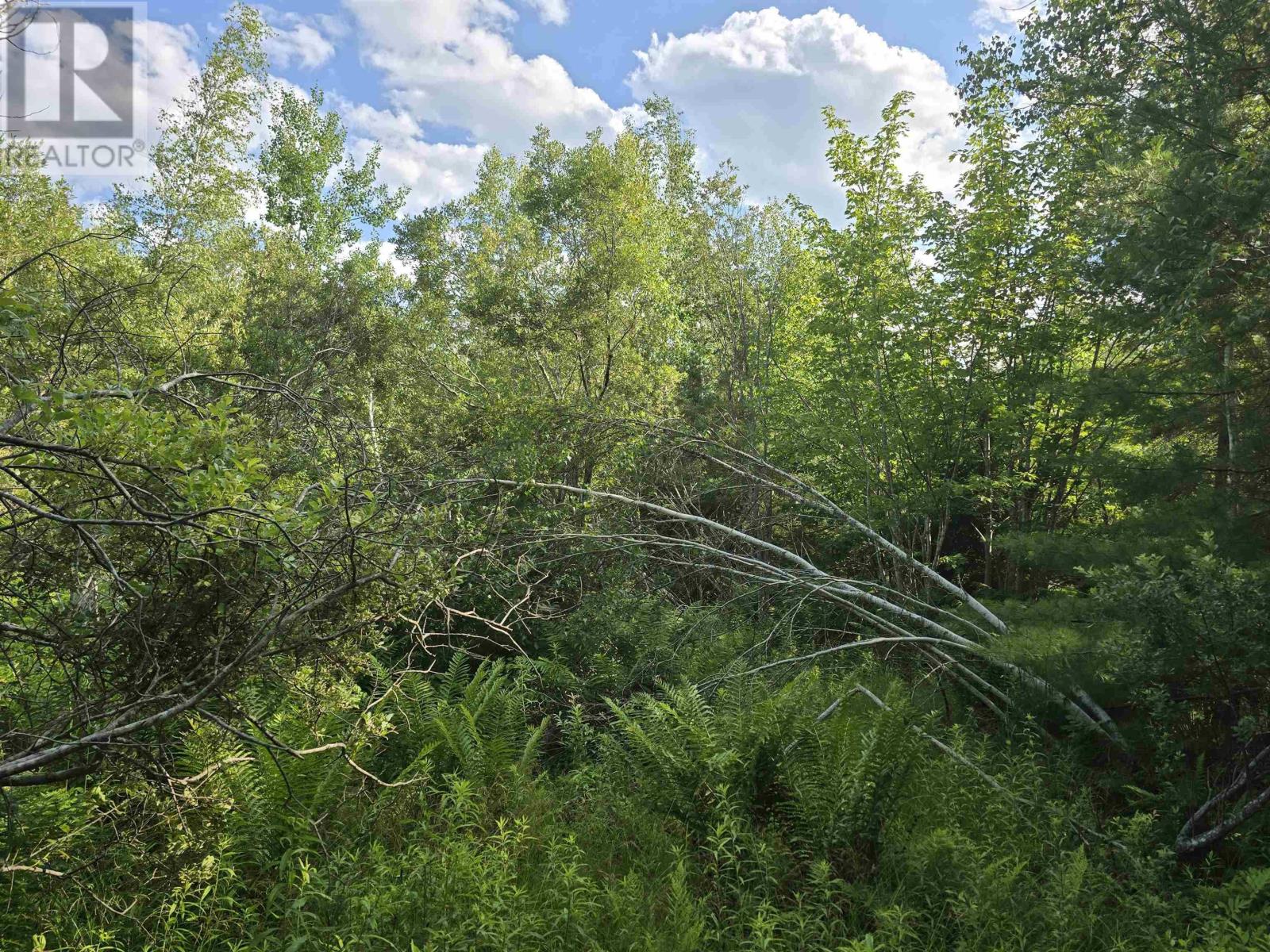 Lot 2 Highway 101, Newcomb Corner, Nova Scotia  B0N 2T0 - Photo 20 - 202618663