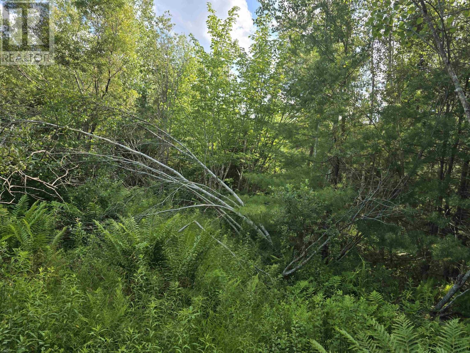 Lot 2 Highway 101, Newcomb Corner, Nova Scotia  B0N 2T0 - Photo 21 - 202618663
