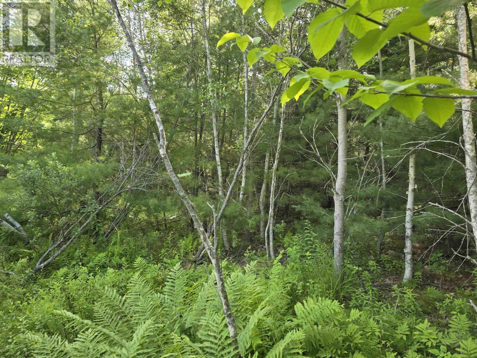 Lot 2 Highway 101, Newcomb Corner, Nova Scotia  B0N 2T0 - Photo 22 - 202618663