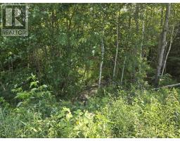 Lot 2 Highway 101, newcomb corner, Nova Scotia