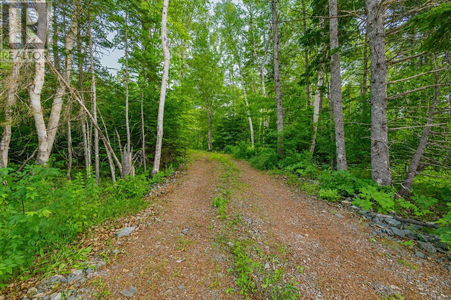 7498 East Bay Highway, Big Pond, Nova Scotia  B1J 1Y2 - Photo 6 - 202618980