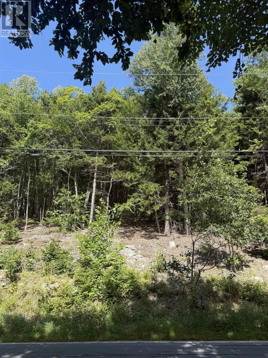 Lot 38 - 1765 Waverley Road, Waverley, Nova Scotia  B2R 1Y4 - Photo 16 - 202619077