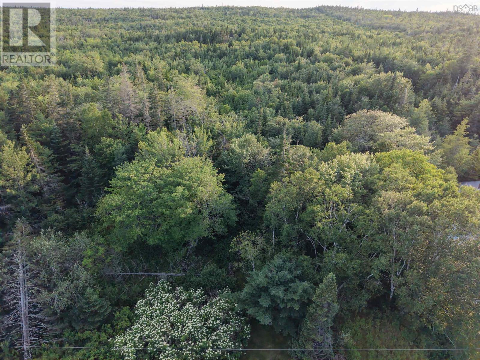 13713 Highway 316, Isaacs Harbour, Nova Scotia  B0H 1J0 - Photo 7 - 202619083