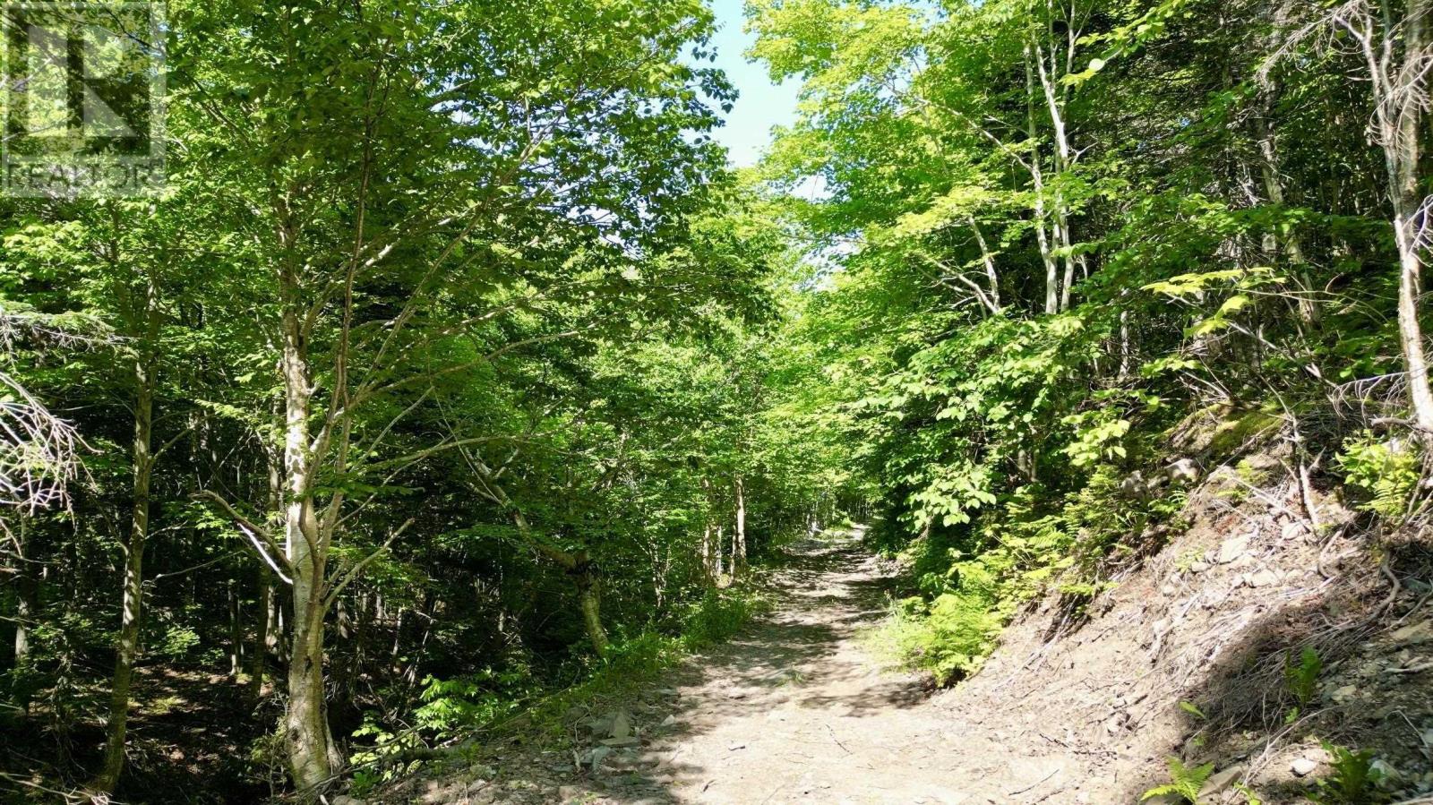 Meat Cove Road, Meat Cove, Nova Scotia  B0C 1E0 - Photo 4 - 202619110