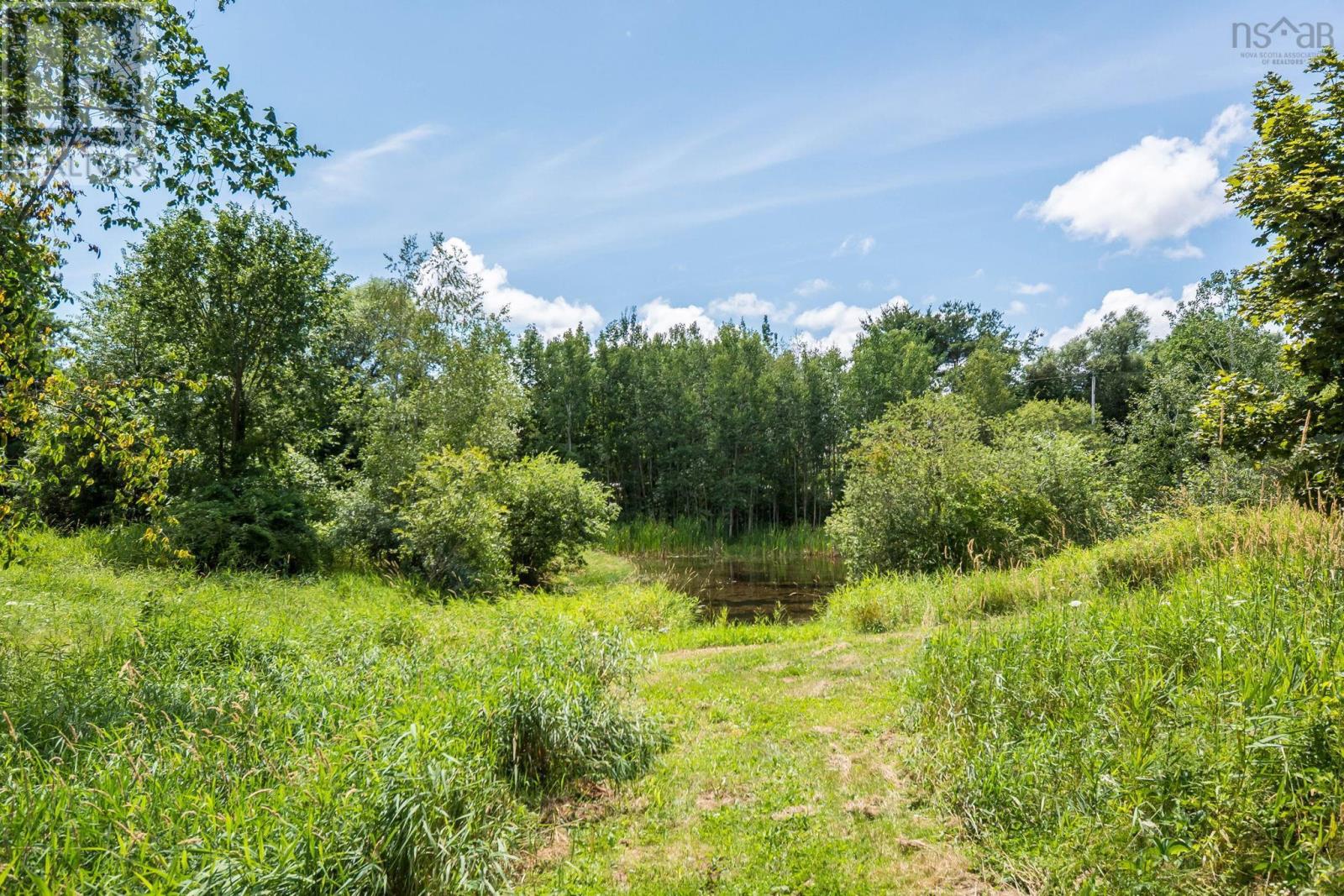 105 Dill Road, Currys Corner, Nova Scotia  B0N 2T0 - Photo 14 - 202619124