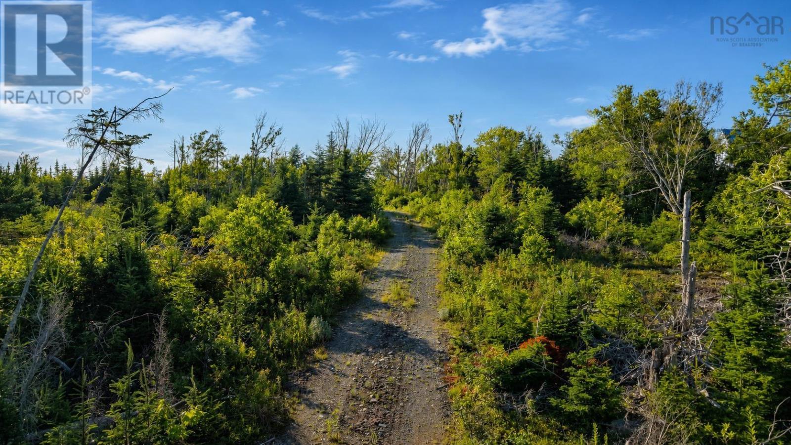 Lot 2017-2 Main A Dieu Road, Catalone, Nova Scotia  B1C 1V1 - Photo 10 - 202619140