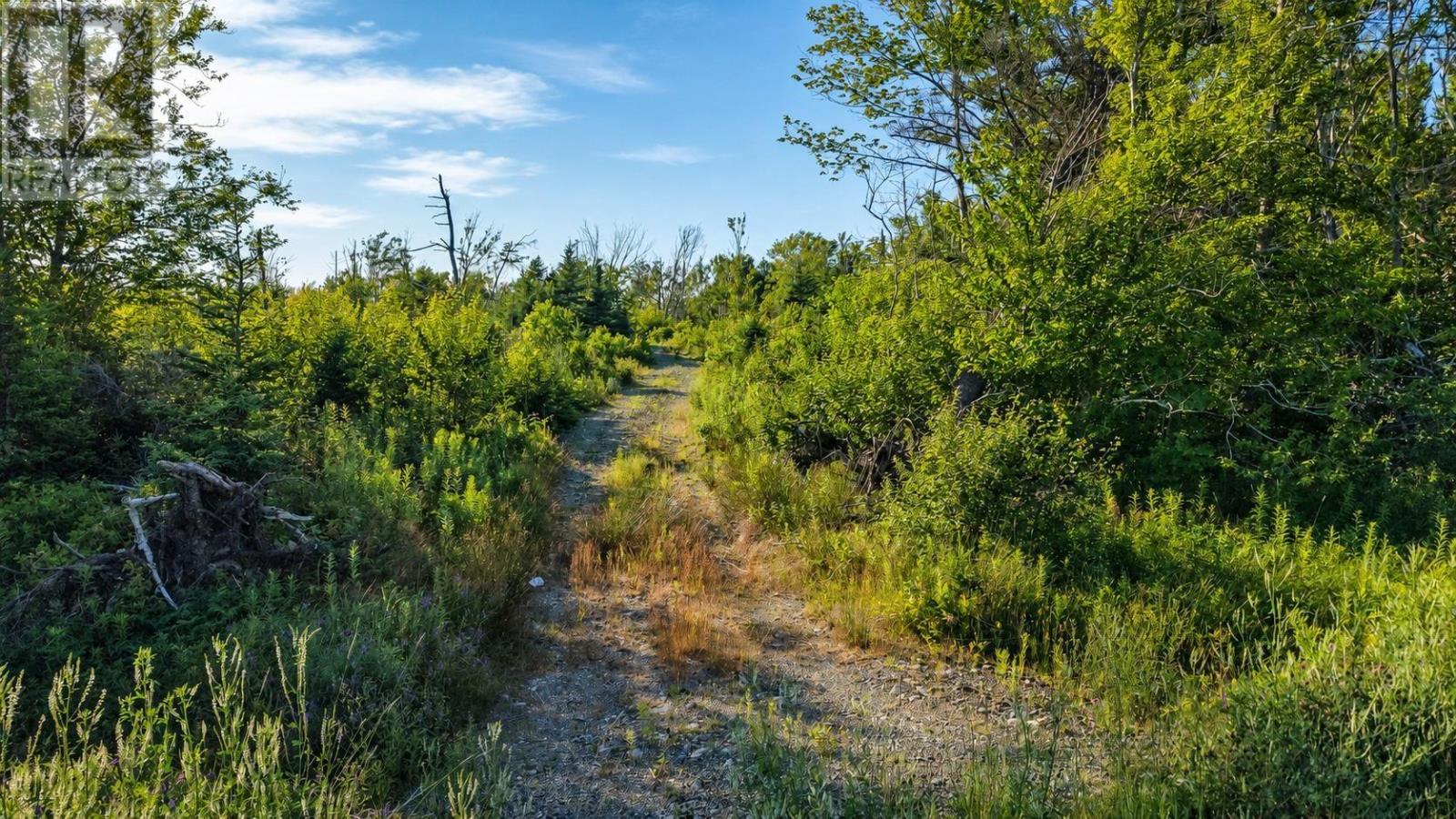 Lot 2017-2 Main A Dieu Road, Catalone, Nova Scotia  B1C 1V1 - Photo 5 - 202619140