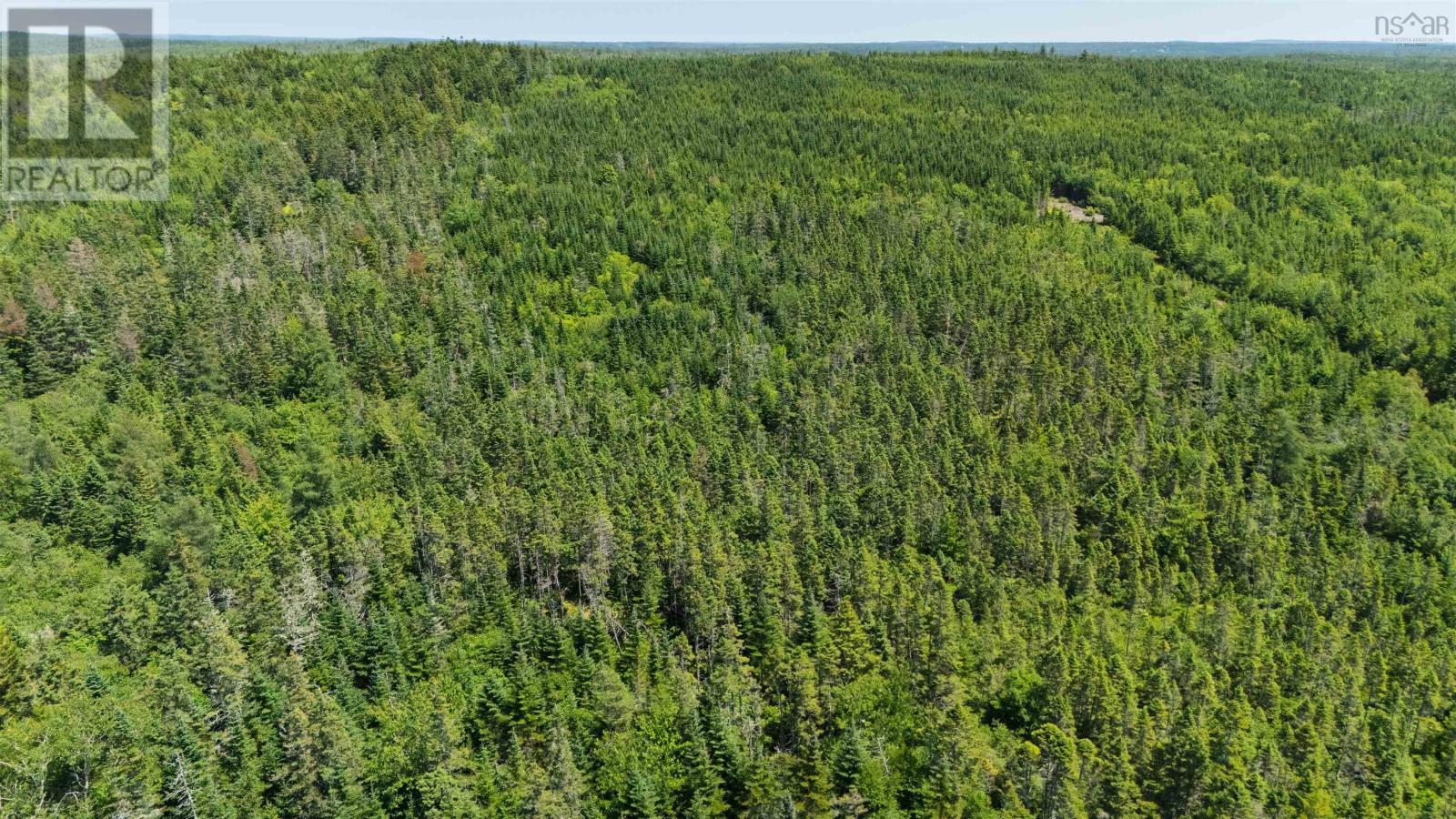 Lot East Chezzetcook Road, East Chezzetcook, Nova Scotia  B0J 2L0 - Photo 5 - 202619264
