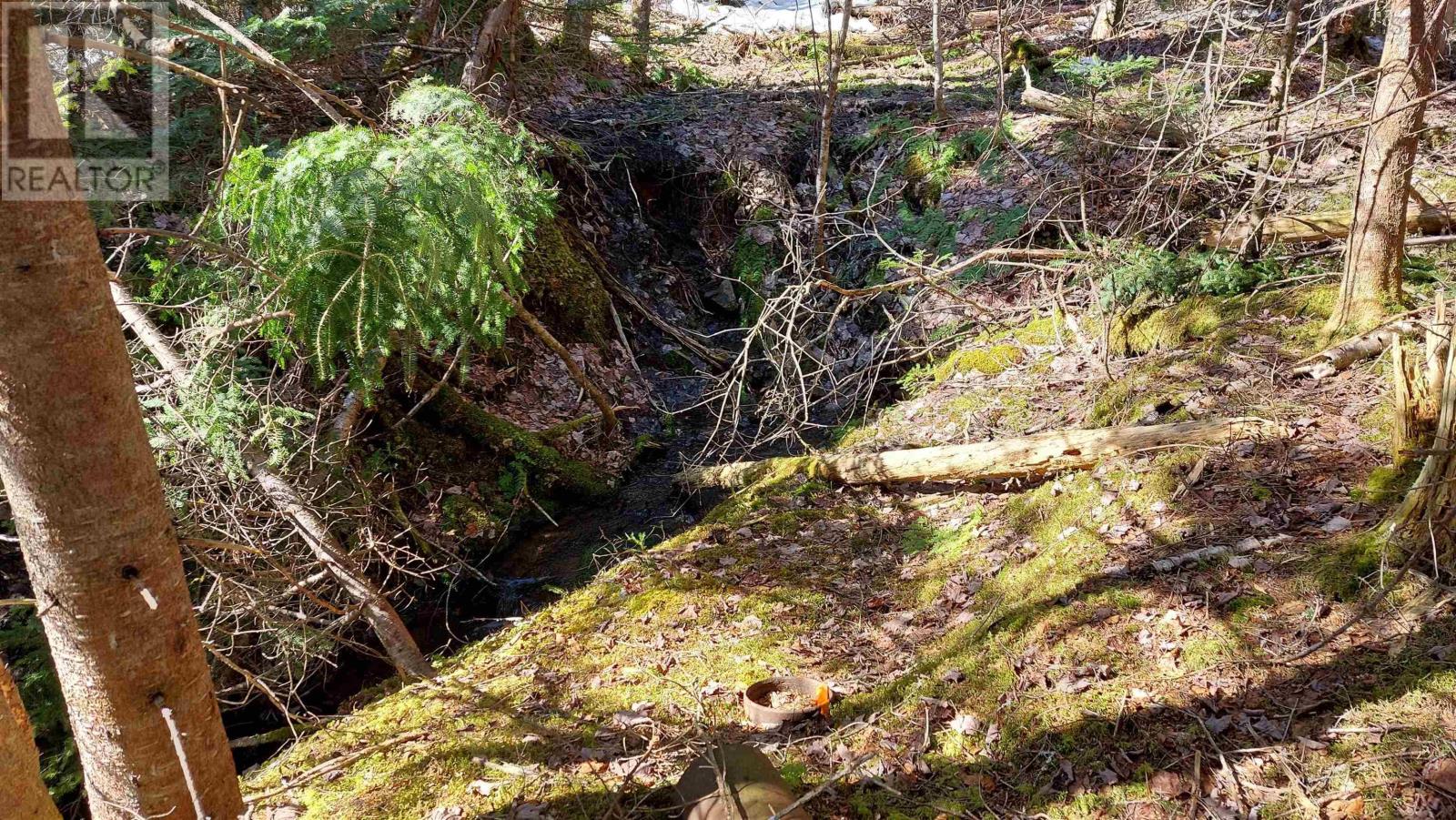 10 Acre Lower River Rd, Hureauville, Nova Scotia  B0E 1J0 - Photo 11 - 202619337