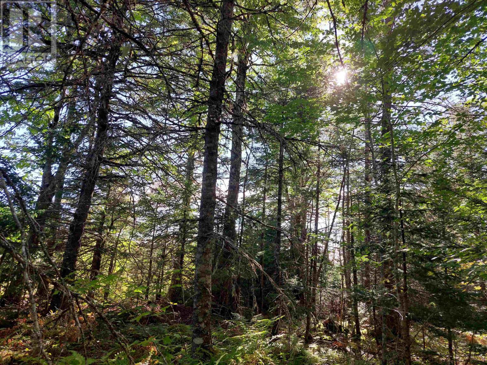 10 Acre Lower River Rd, Hureauville, Nova Scotia  B0E 1J0 - Photo 4 - 202619337