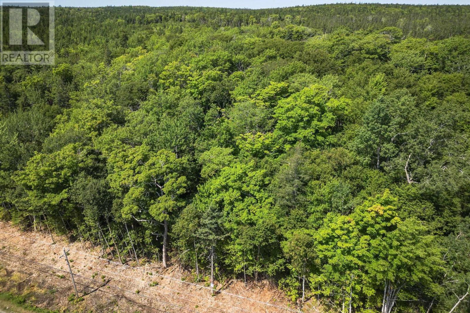 10 Acre Lower River Rd, Hureauville, Nova Scotia  B0E 1J0 - Photo 5 - 202619337