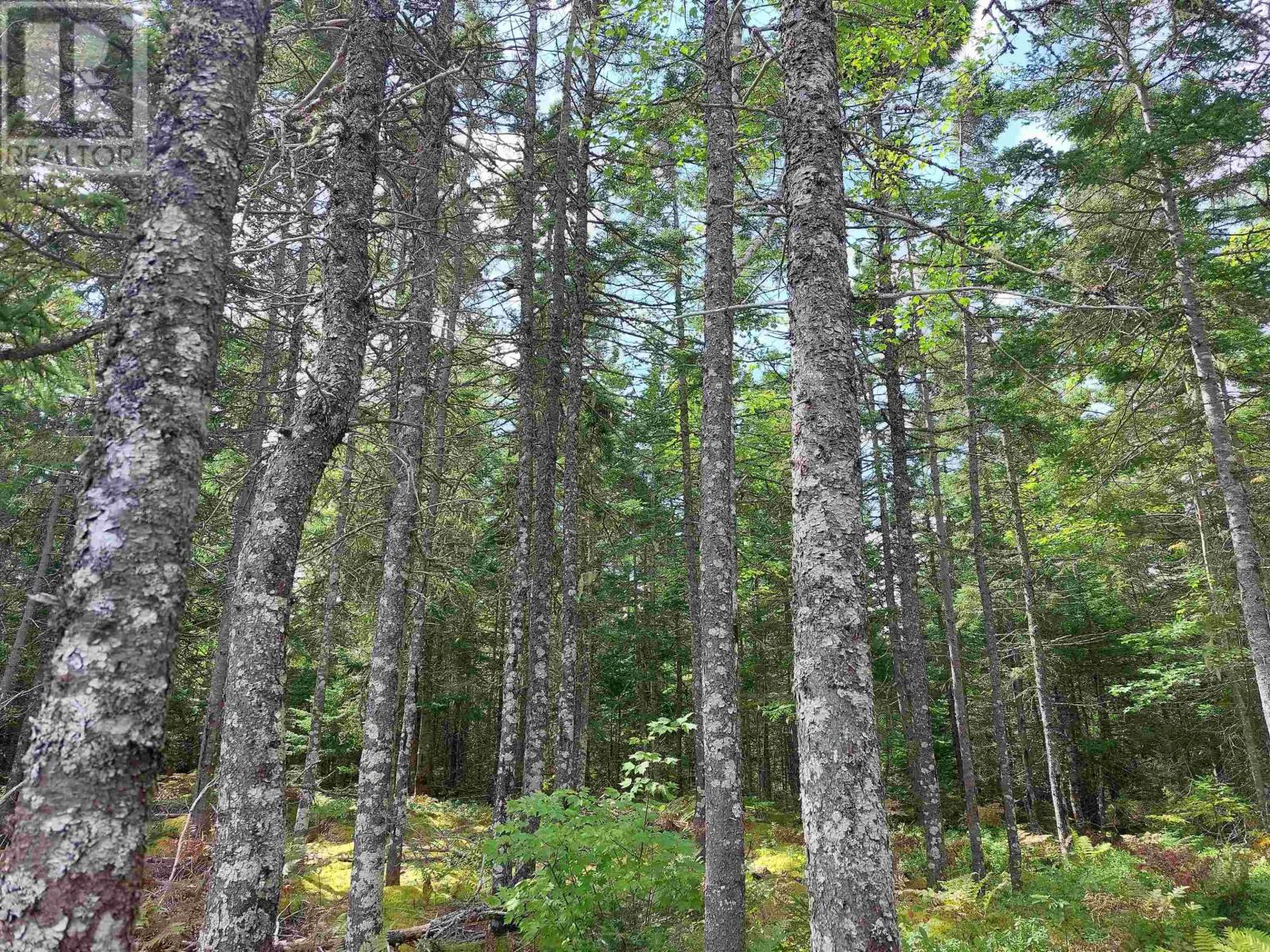 10 Acre Lower River Rd, Hureauville, Nova Scotia  B0E 1J0 - Photo 7 - 202619337