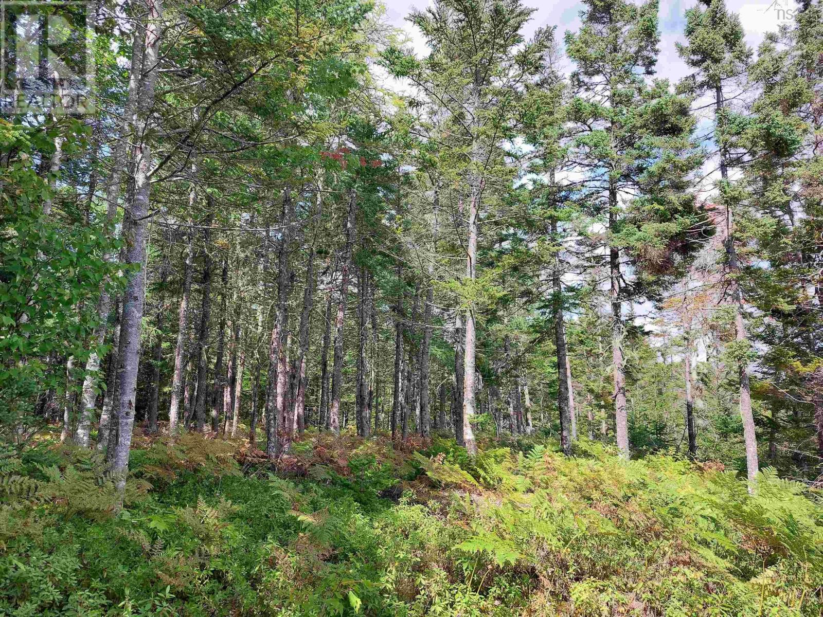 10 Acre Lower River Rd, Hureauville, Nova Scotia  B0E 1J0 - Photo 8 - 202619337