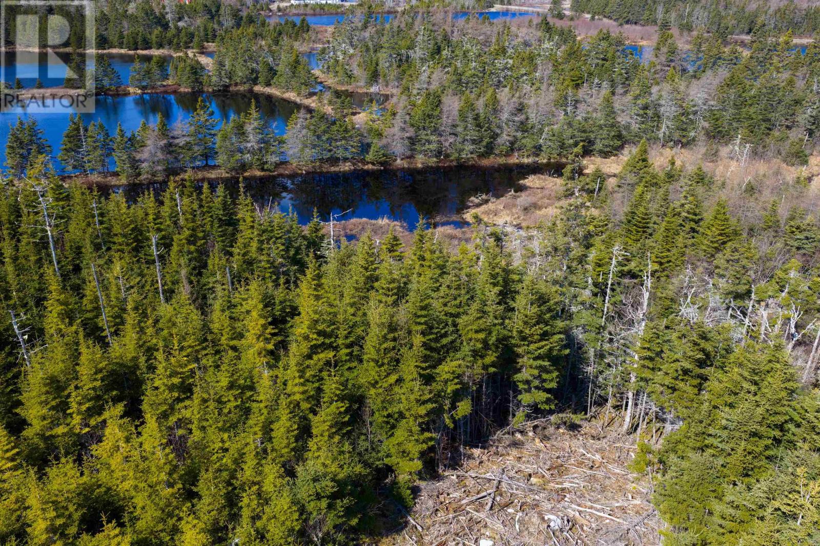 19 Lipkudamoonk Path, Clam Bay, Nova Scotia  B0J 1Y0 - Photo 34 - 202619508