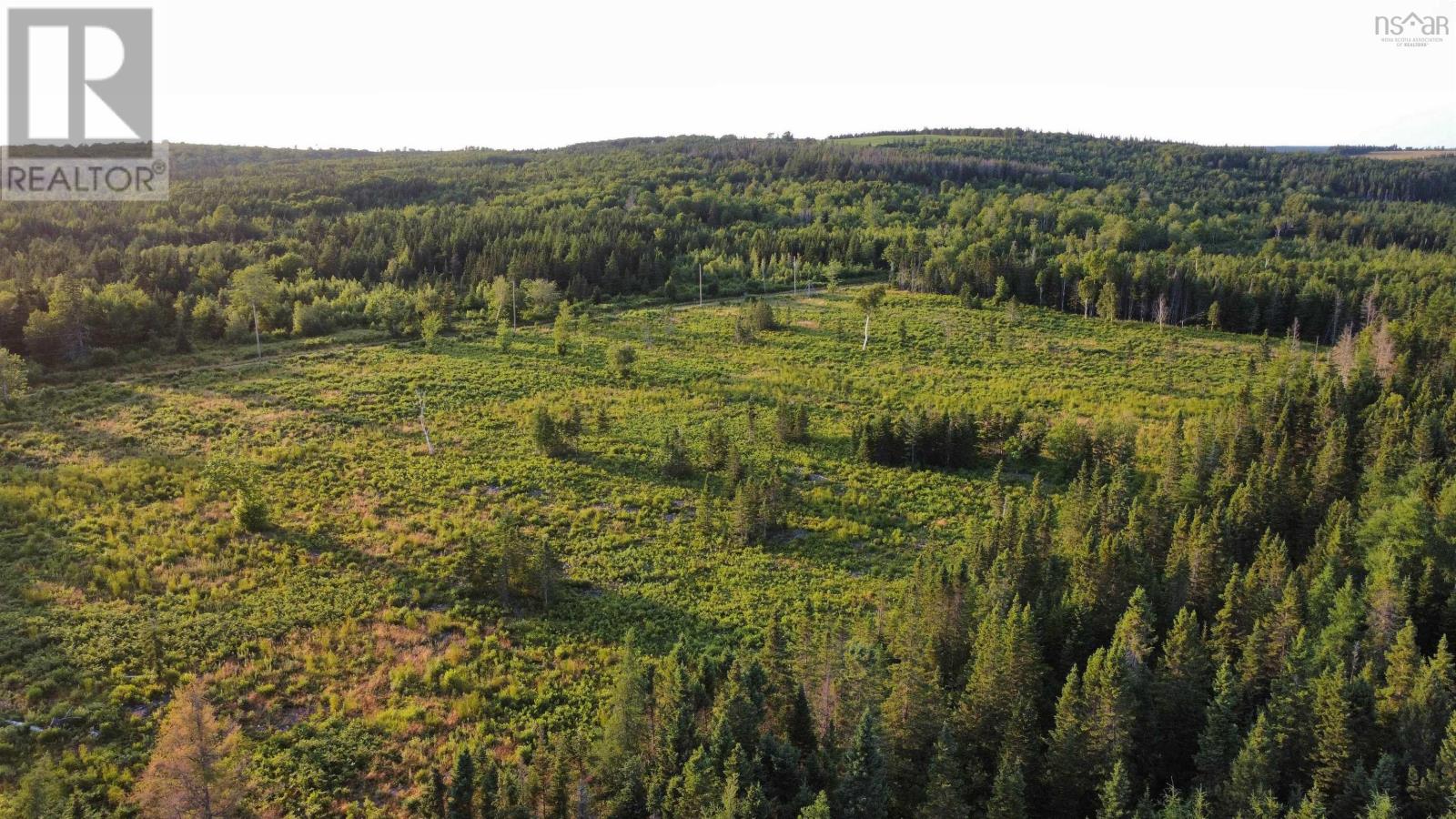 Lot 4 Alpine Ridge Road, Mabou, Nova Scotia  B0E 1X0 - Photo 6 - 202619527