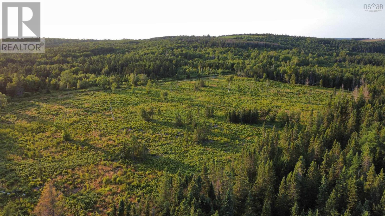 Lot 5 Alpine Ridge Road, Mabou, Nova Scotia  B0E 1X0 - Photo 7 - 202619528