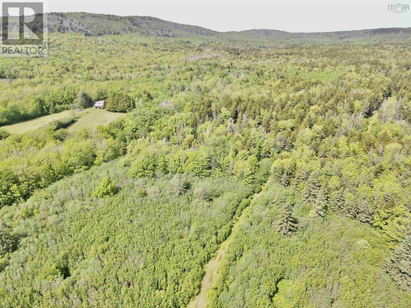 450 Culloden Road, Mount Pleasant, Nova Scotia  B0V 1A0 - Photo 25 - 202619535