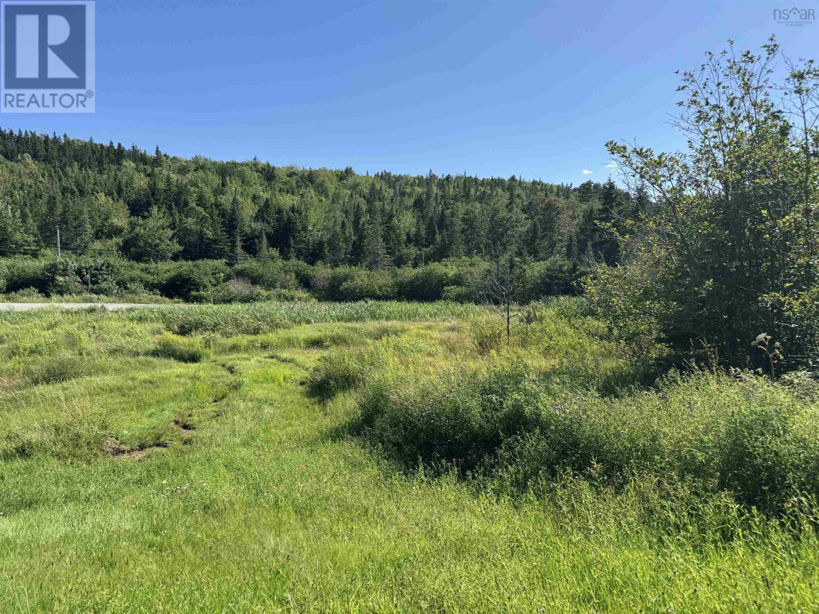 49740 Cabot Trail, Goose Cove, Nova Scotia  B0E 1B0 - Photo 12 - 202619561