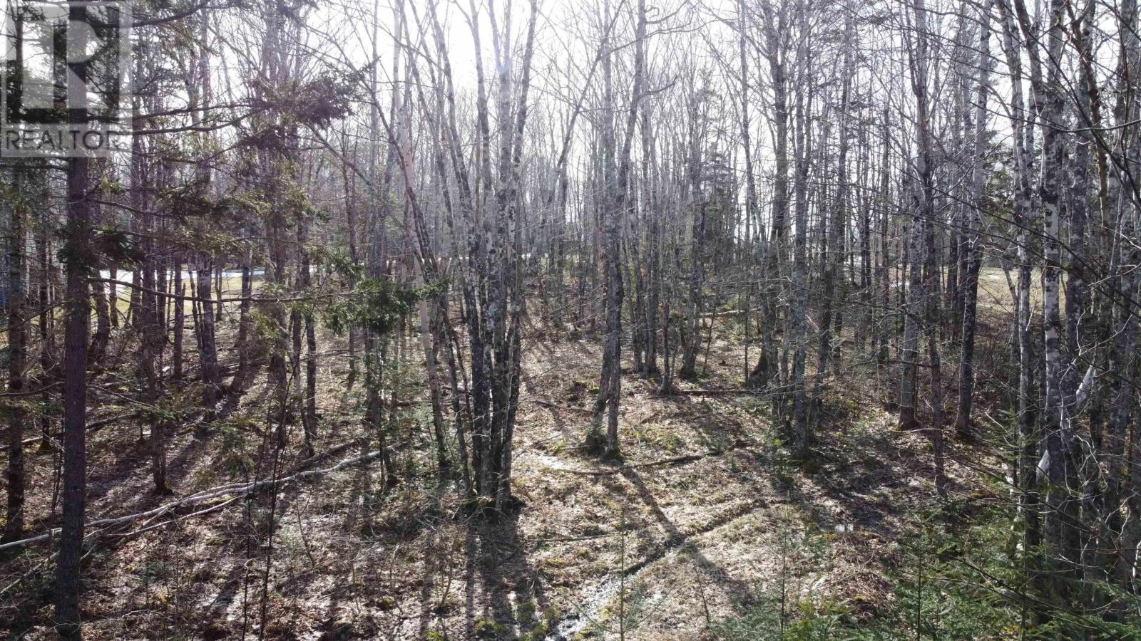 60 Sedona Court, Oakfield, Nova Scotia  B2T 0J7 - Photo 10 - 202619722