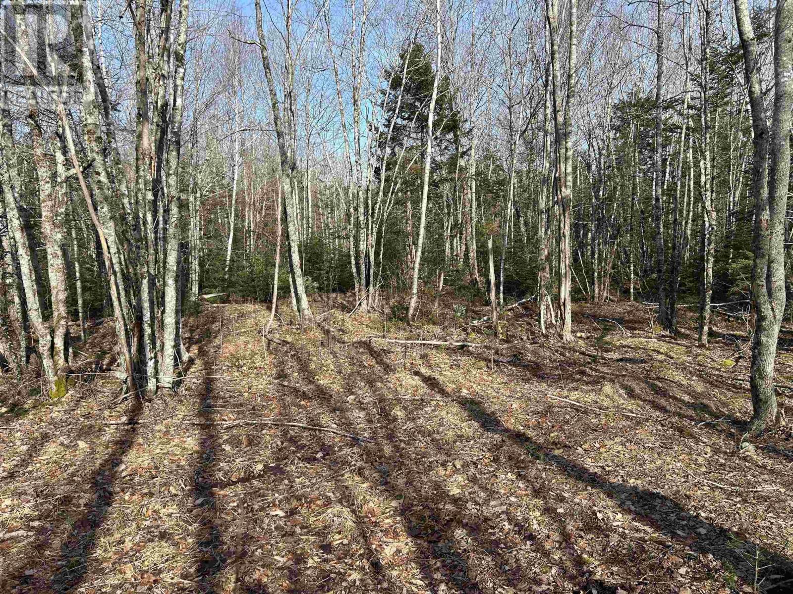 60 Sedona Court, Oakfield, Nova Scotia  B2T 0J7 - Photo 11 - 202619722