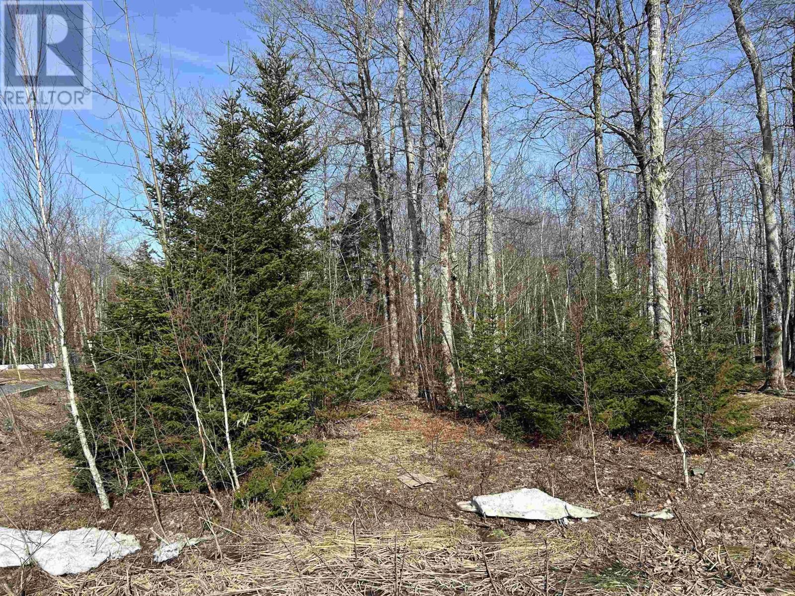 60 Sedona Court, Oakfield, Nova Scotia  B2T 0J7 - Photo 12 - 202619722