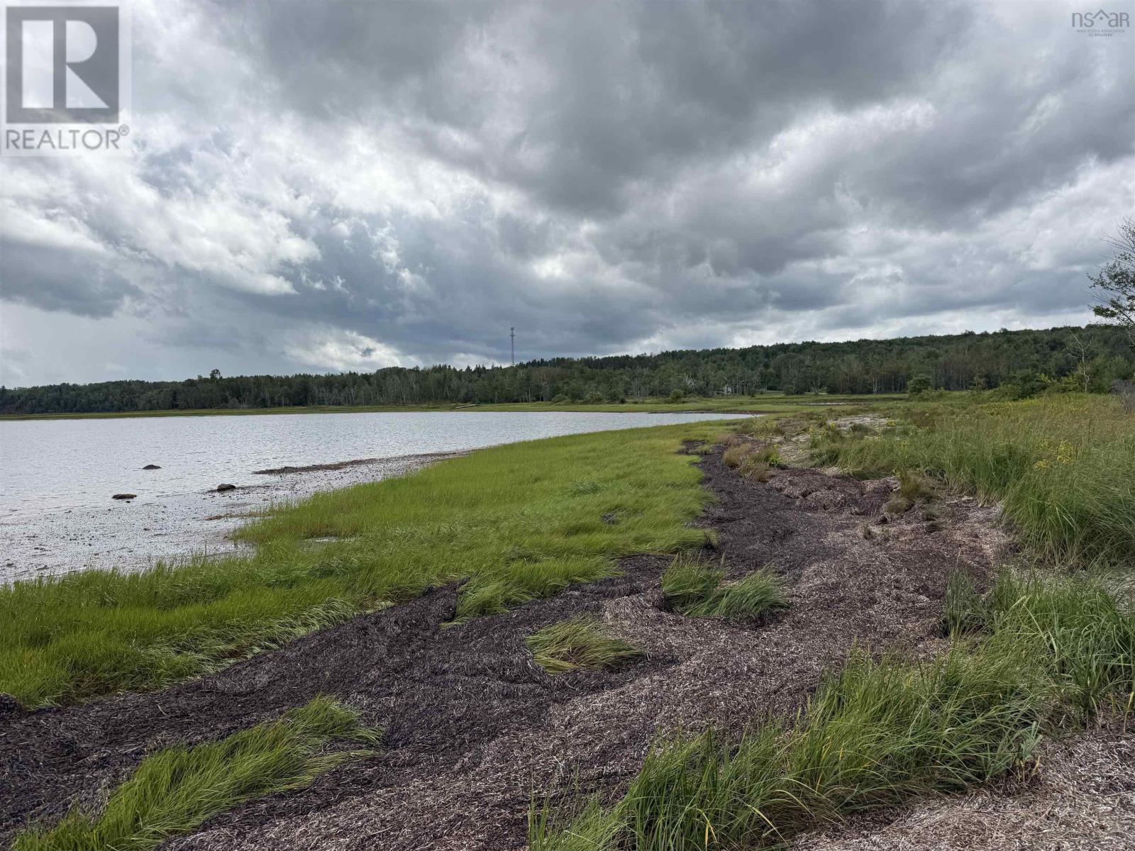 Lot 0 Hansen Drive, Pugwash, Nova Scotia  B0M 1L0 - Photo 14 - 202619812