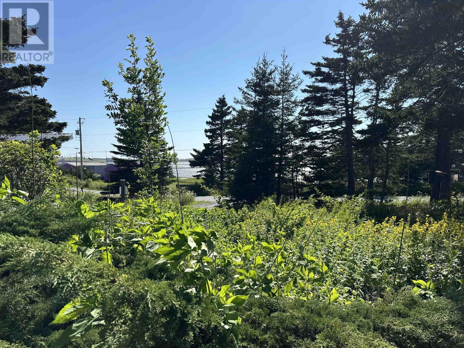 Lot 27 Hawkey Island Road, Three Fathom Harbour, Nova Scotia  B0J 2L0 - Photo 8 - 202619910